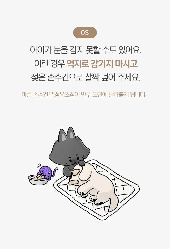 장례 전 3