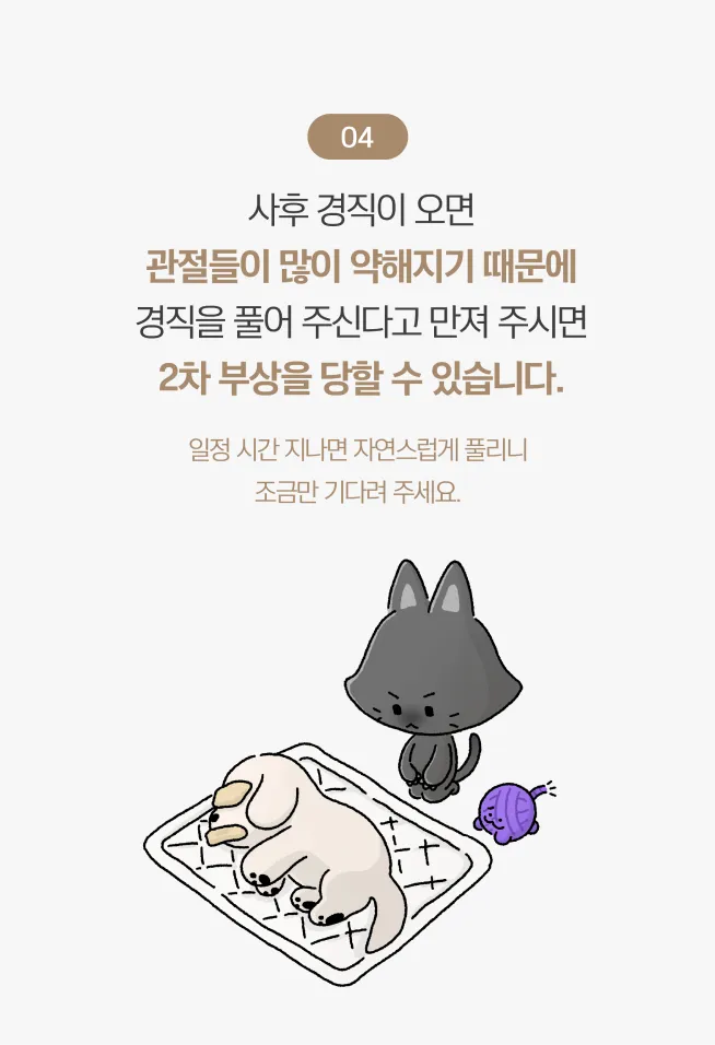 장례 전 4