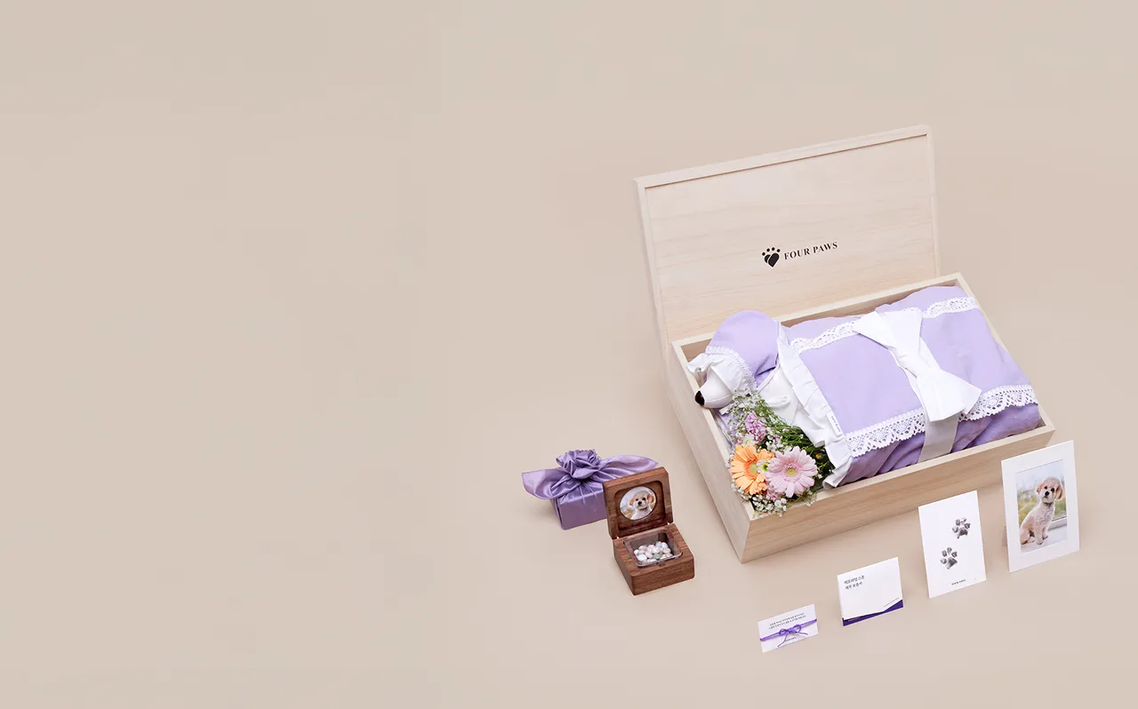 ALL IN ONE 패키지