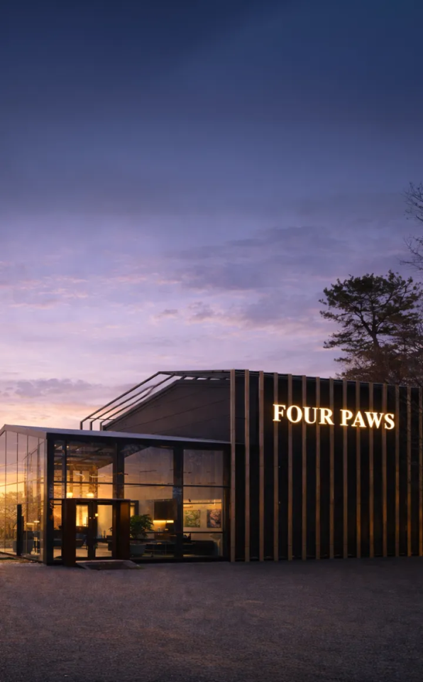 포포즈 메인 배너