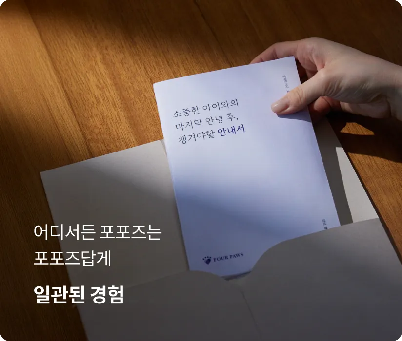 Promise - consistent experience