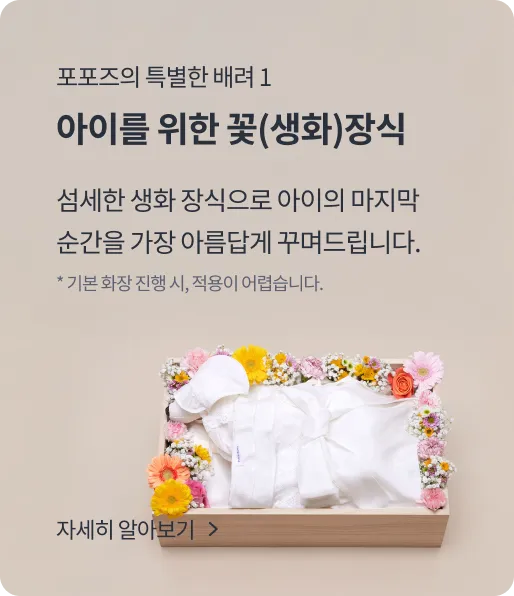 Service introduction 1