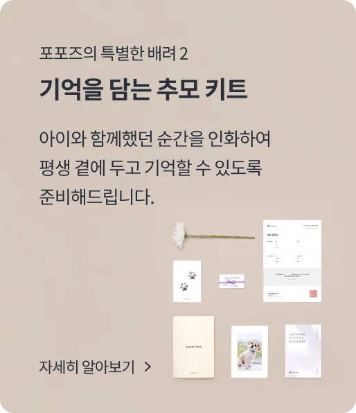 Service introduction 2