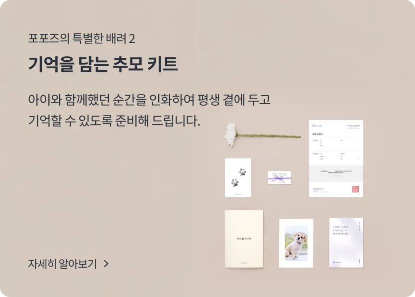 Service introduction 2