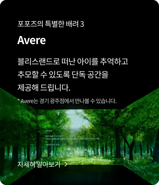 Service introduction 3