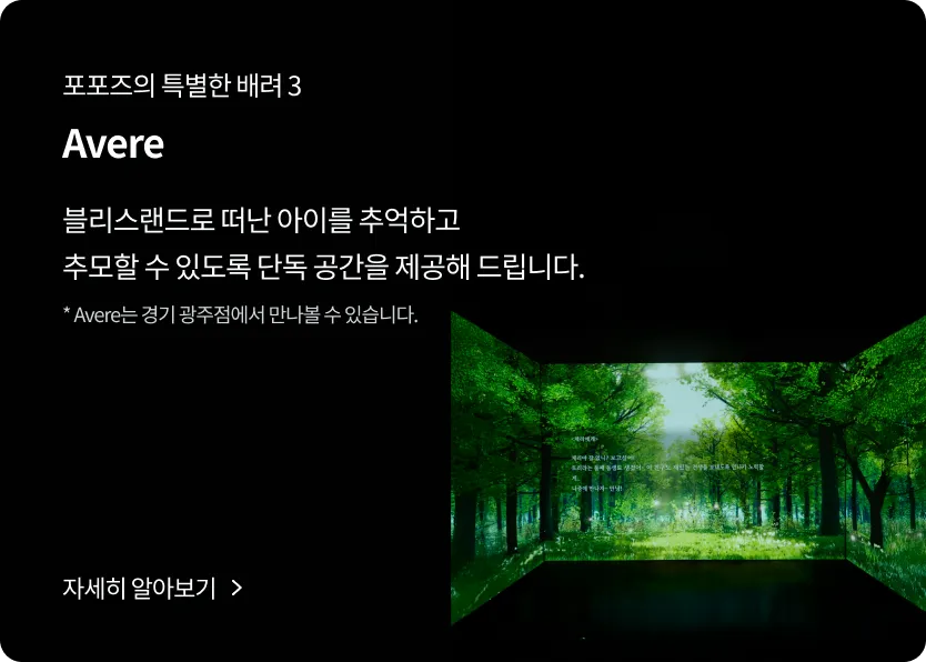 Service introduction 3