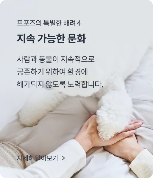 Service introduction 4