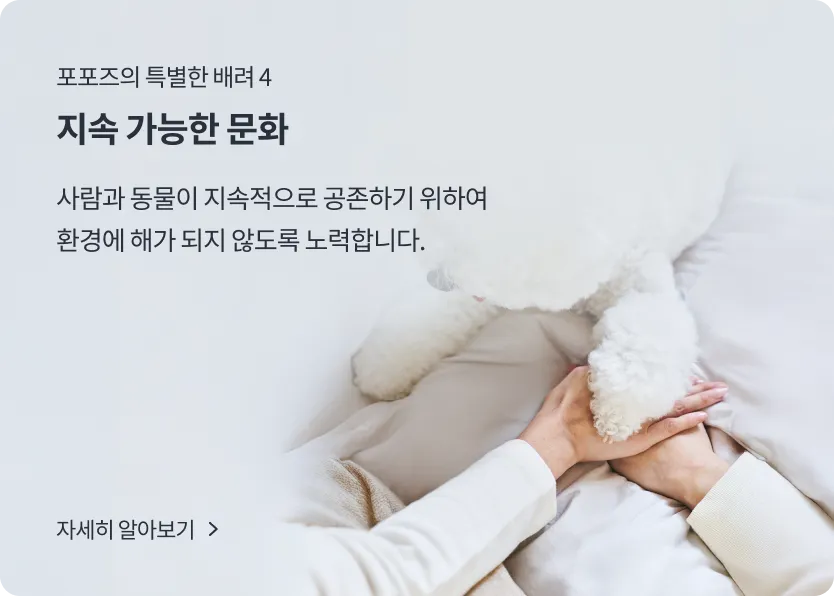 Service introduction 4