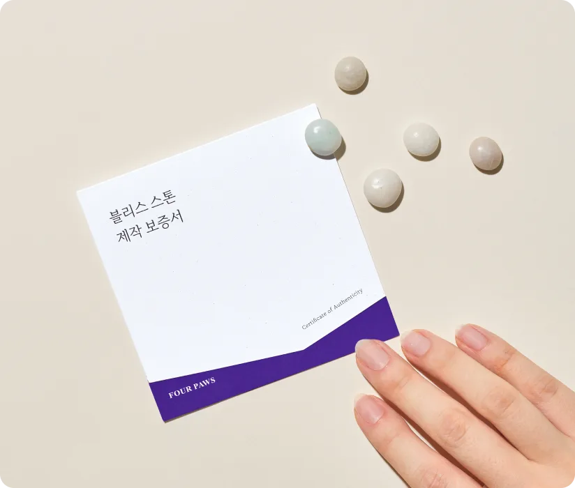 다시 꺼낼 수 있는 기억