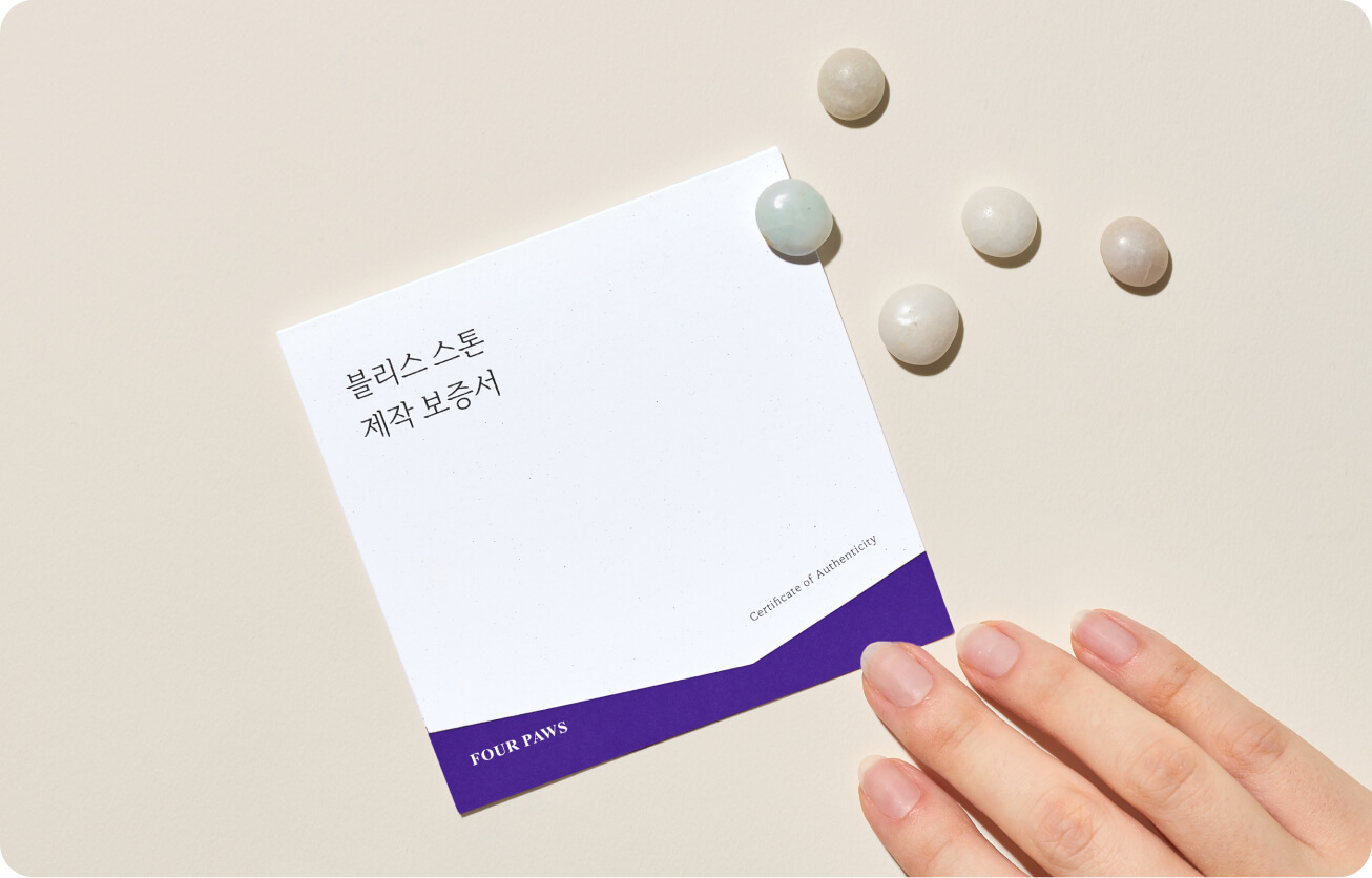 다시 꺼낼 수 있는 기억