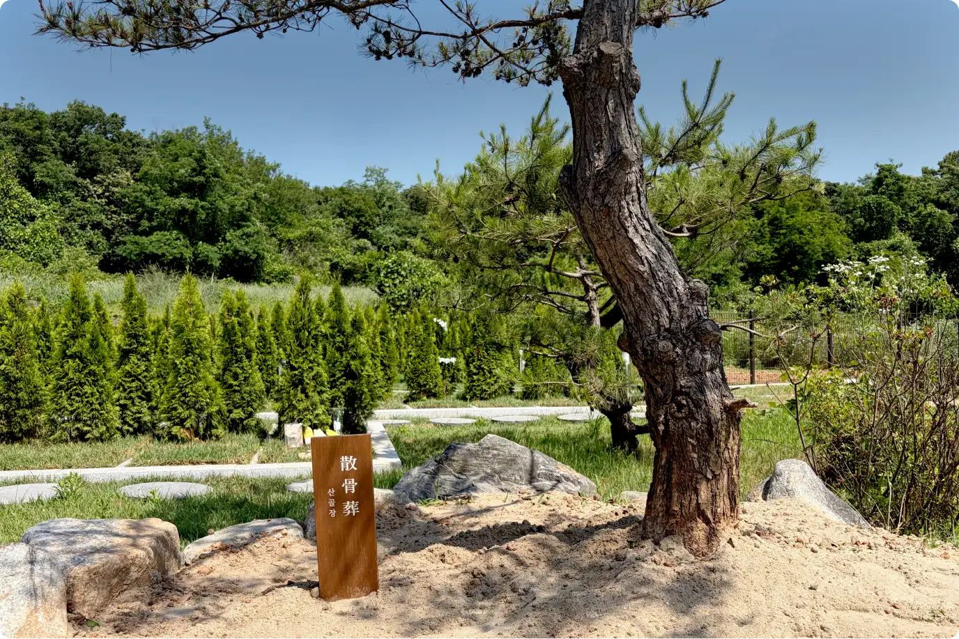 산골장