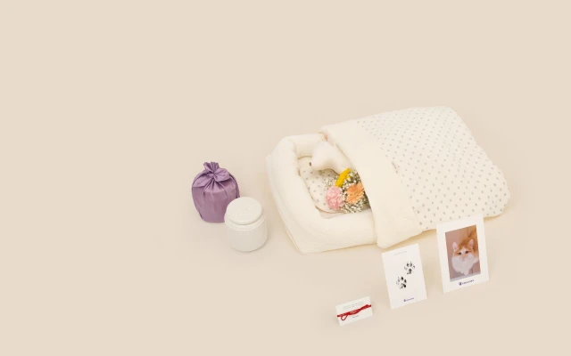 고양이 전용 장례